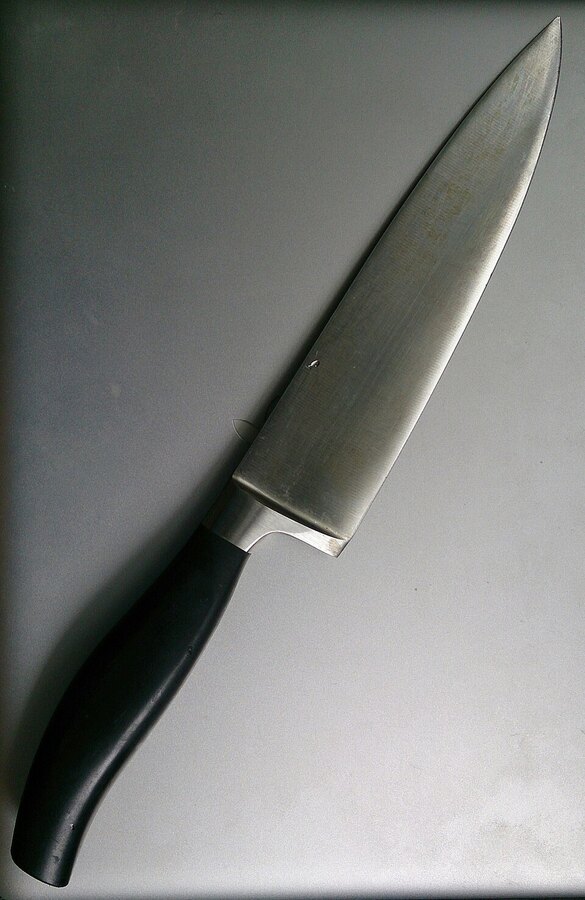 Pro Chef's Knife
