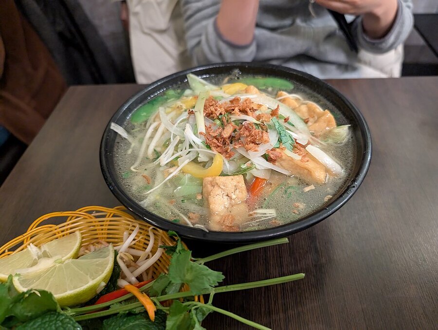 Vietnamese Pho Noodle Soup